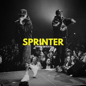 Splinter
