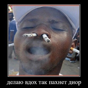нюхай бебру