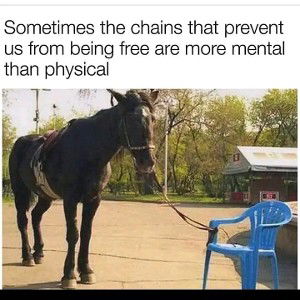 Not meant to be