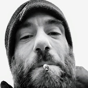 wizdom - fakes