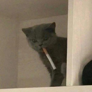 Со дна