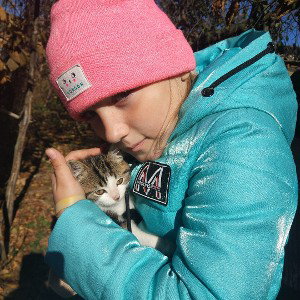  Kitten