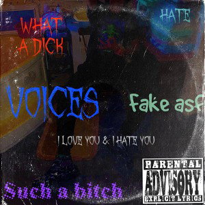 Voices