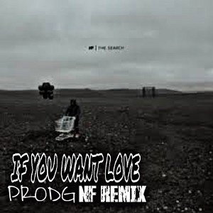 If You want love remix (NF)