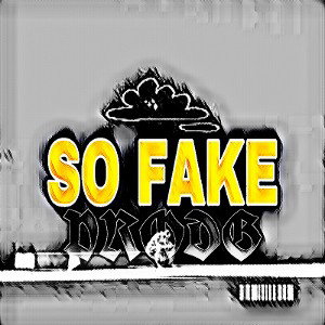 So Fake 