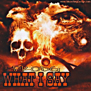 What I Say 