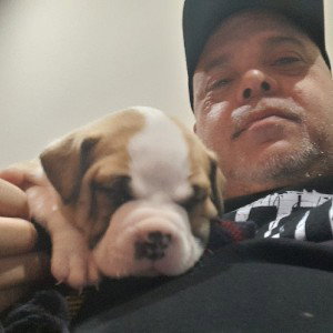 Danielo Emsi -Perro Viejo