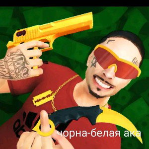  Чорна -белая Ака