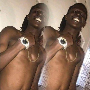 freestyle 