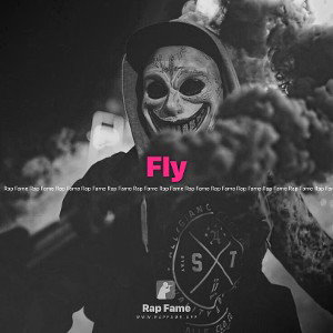Fly