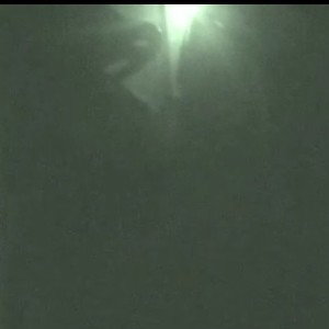 every morning at the mine you can see him alive he's doing 6'68 245 kind of broad at the shoulders narrow if the hips an