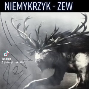 NiemyKrzyk - Zew