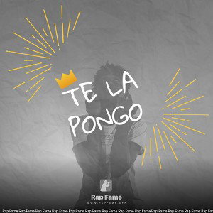 te la pongo 