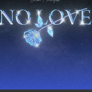 NO L💙VE....