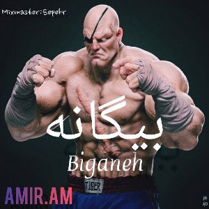 بیگانه 