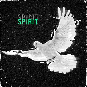 SPIRIT🕊️