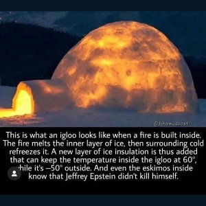 The_Bottom_1_