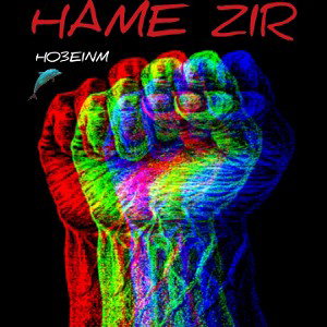 hame zir