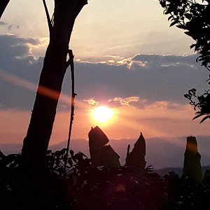 No Perdere-DeYdad
