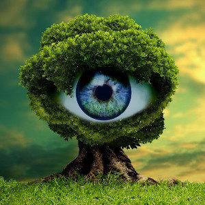 VISION