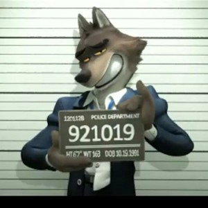 the/police!