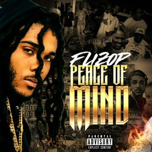 Flizop - Peace of Mind(official audio)