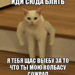 Фрешмэн