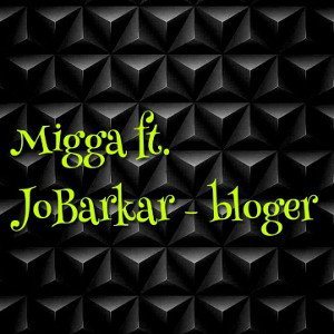  bloger