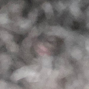 New Recording