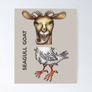 Jason_Dom_Seagull_Akon - Seagulls back again _baby goat ho_