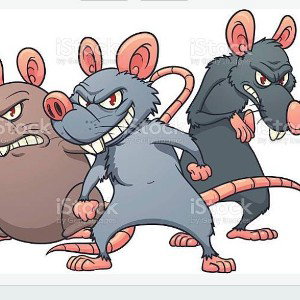 🐀 SNITCHN  🐀 
