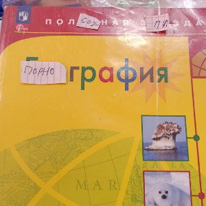Трансгендерность (Traxxxgey & Iluxa germes)