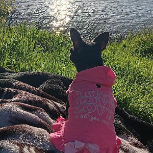 my baby Reyna Bella "RIP"