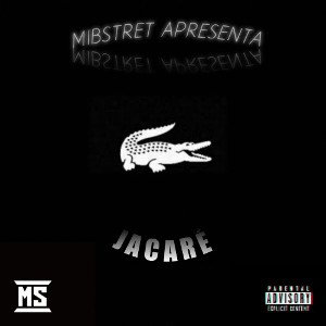 loockzin ft. jovem dokyo - jacaré 