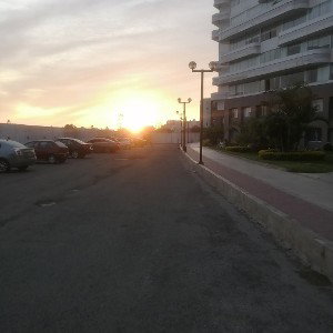 Códigos 