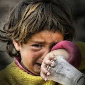 دیوونه برگرد)!