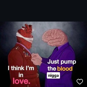 WTF