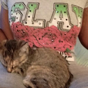 (😼Play😽With😸Her)$huN 💯 G/HR ⏺️ Records 📀