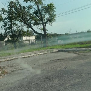 fog
