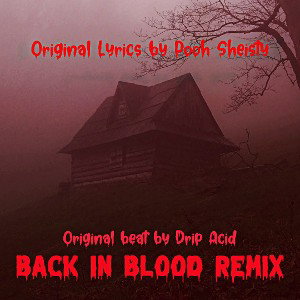 Back in Blood Drip Acid Remix