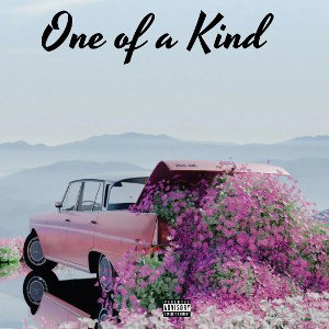 One of a Kind