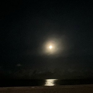 Nightsky
