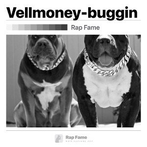 Vellmoney-buggin
