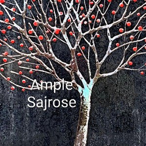 AMPLE 