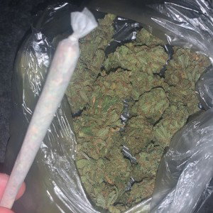 Trap and Rap 💨