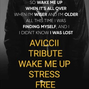 Wake me up Stress Free Ft .Pricelesssound