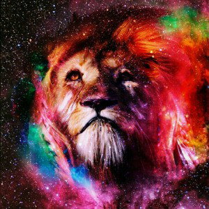kING 👑