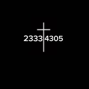 2333 to the 4305 freestyle