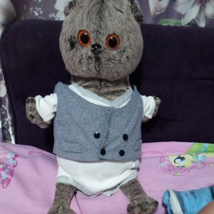 Я котик Басик