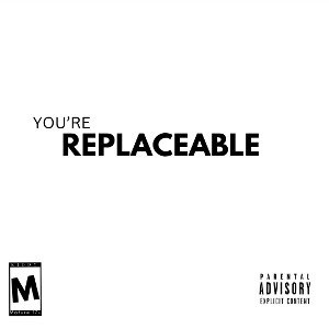 Replaceable 